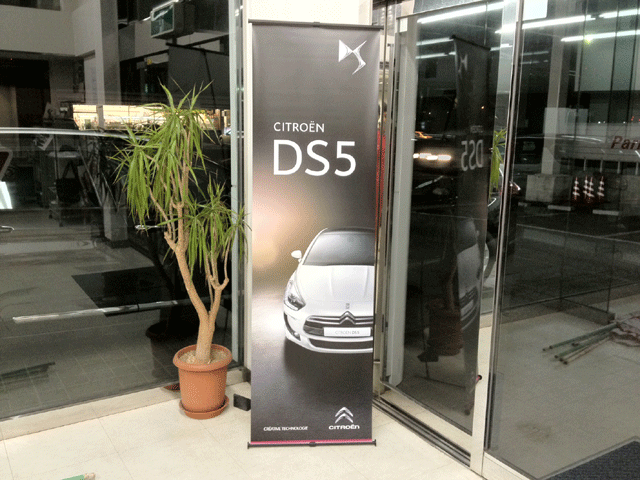 DS5 準備整いました。