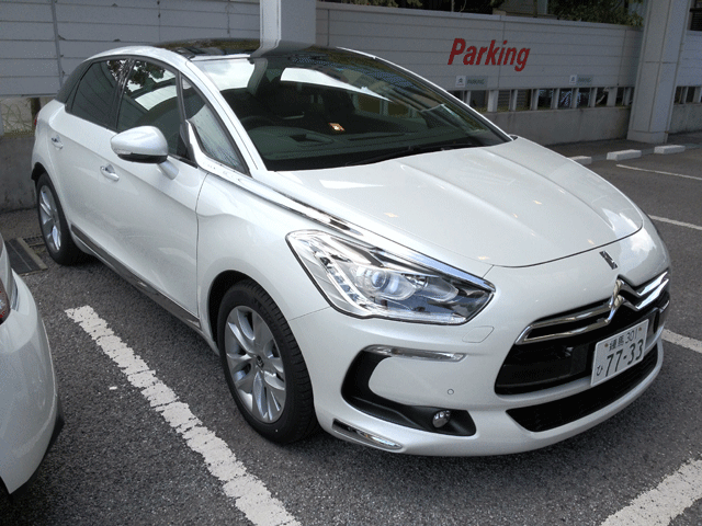 DS5 デモカー白入りました！