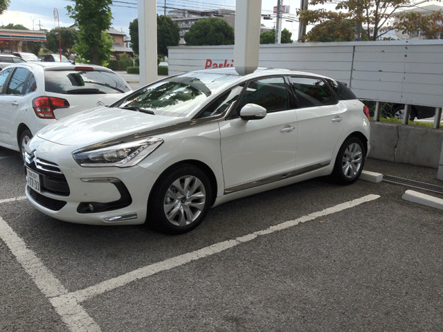 DS5 デモカー白入りました！