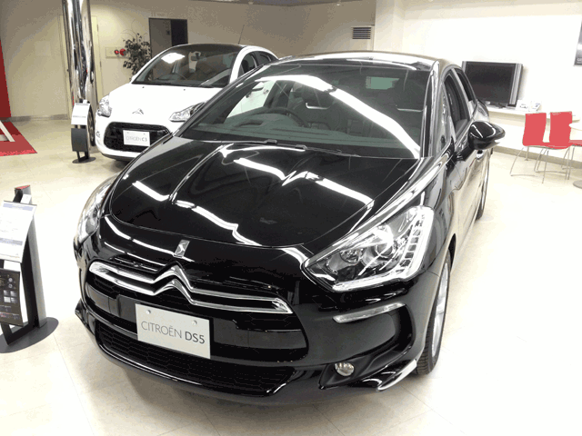 DS5　ノアール展示中です。